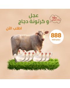 Calf and one carton fresh chicken  10 pieces - Dar Al Husn