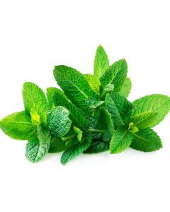 Mint Leaf-Alasala