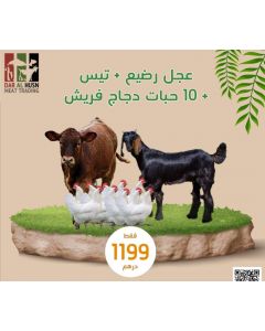Calf, goat and 10 pieces of fresh chicken - Dar Al Husn