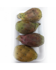 prickly pear-Alasala