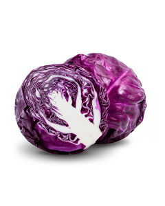 Red Cabbage-Alasala