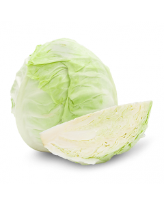 White Cabbage-Alasala