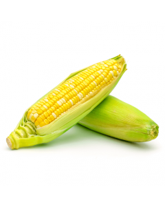 Corn in the cob