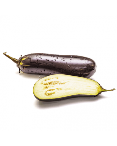 Long Eggplant-Alasala