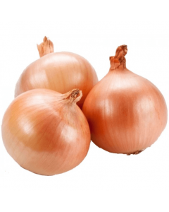 Brown onion-Alasala