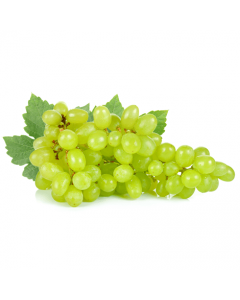 White Grape seedless-ALASALA